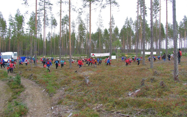 Finland rejects majority visa applications for wild-berry pickers Finland rejects majority visa applications for wild-berry pickers